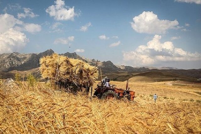  25درصد تسهیلات اعطایی بانک‌ها باید به کشاورزان اختصاص یابد