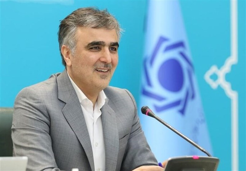 فرزین: ایران عضو و سهامدار بانک بریکس می‌شود