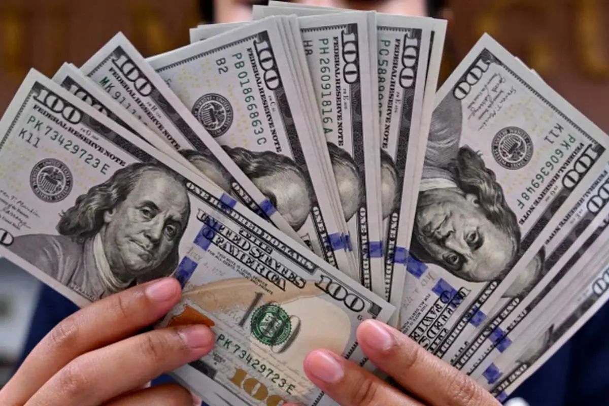 حذف ارز ۲۸هزار و۵۰۰تومانی/ رانت کمتر یا فشار بیشتر بر مردم؟