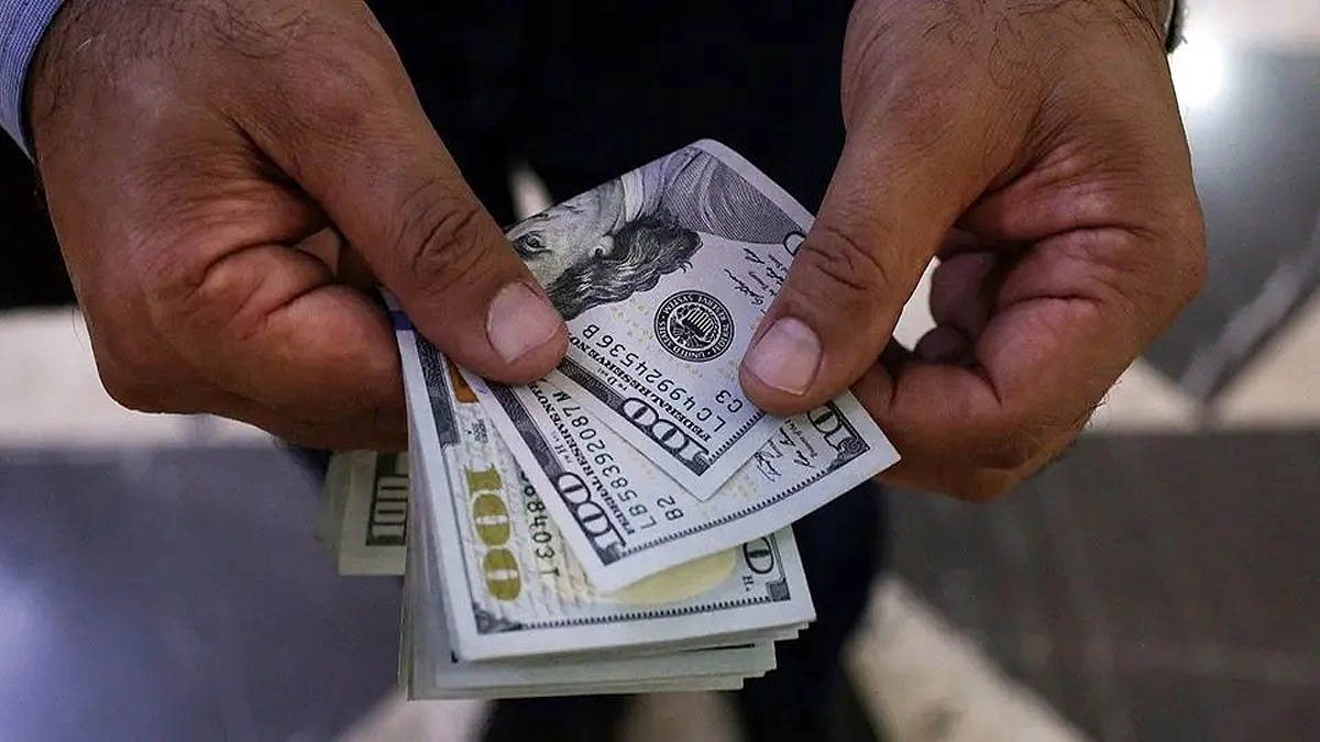 هشدار بانک مرکزی: خرید هیجانی ارز در نرخ‌های بالا پرریسک است